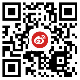 九游服务资本有限公司